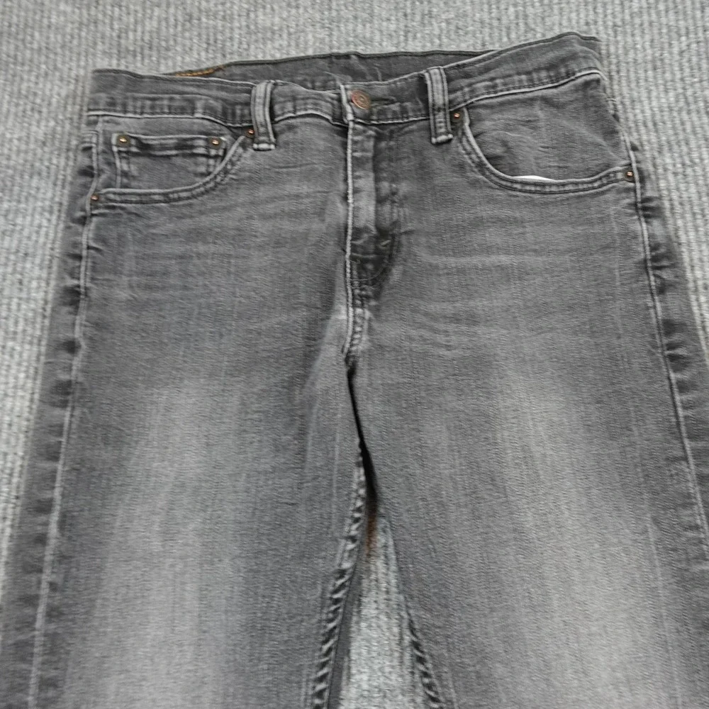 Levis levis 527